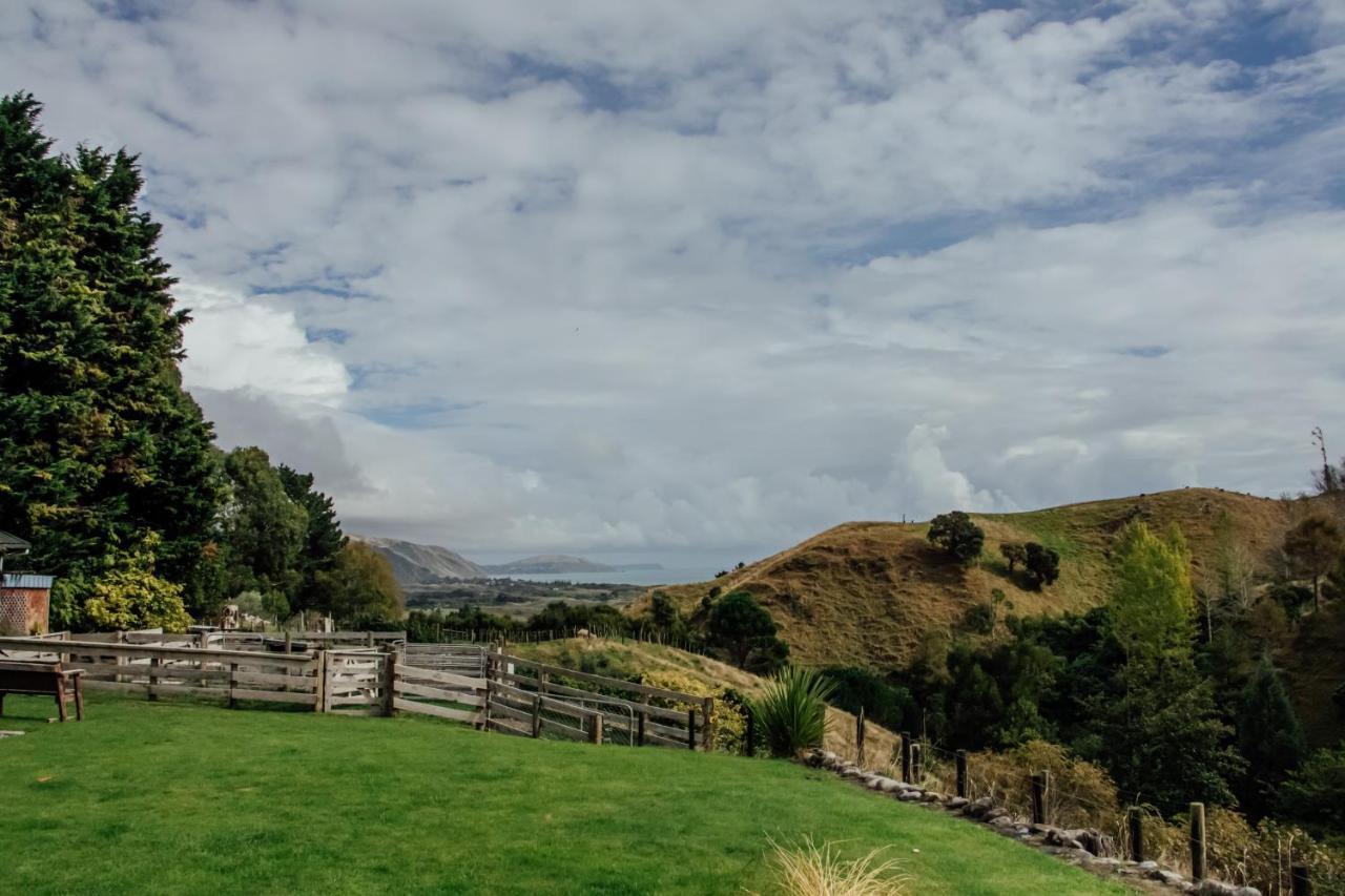 Luxury Stay, Alpaca Farm Paraparaumu Eksteriør billede