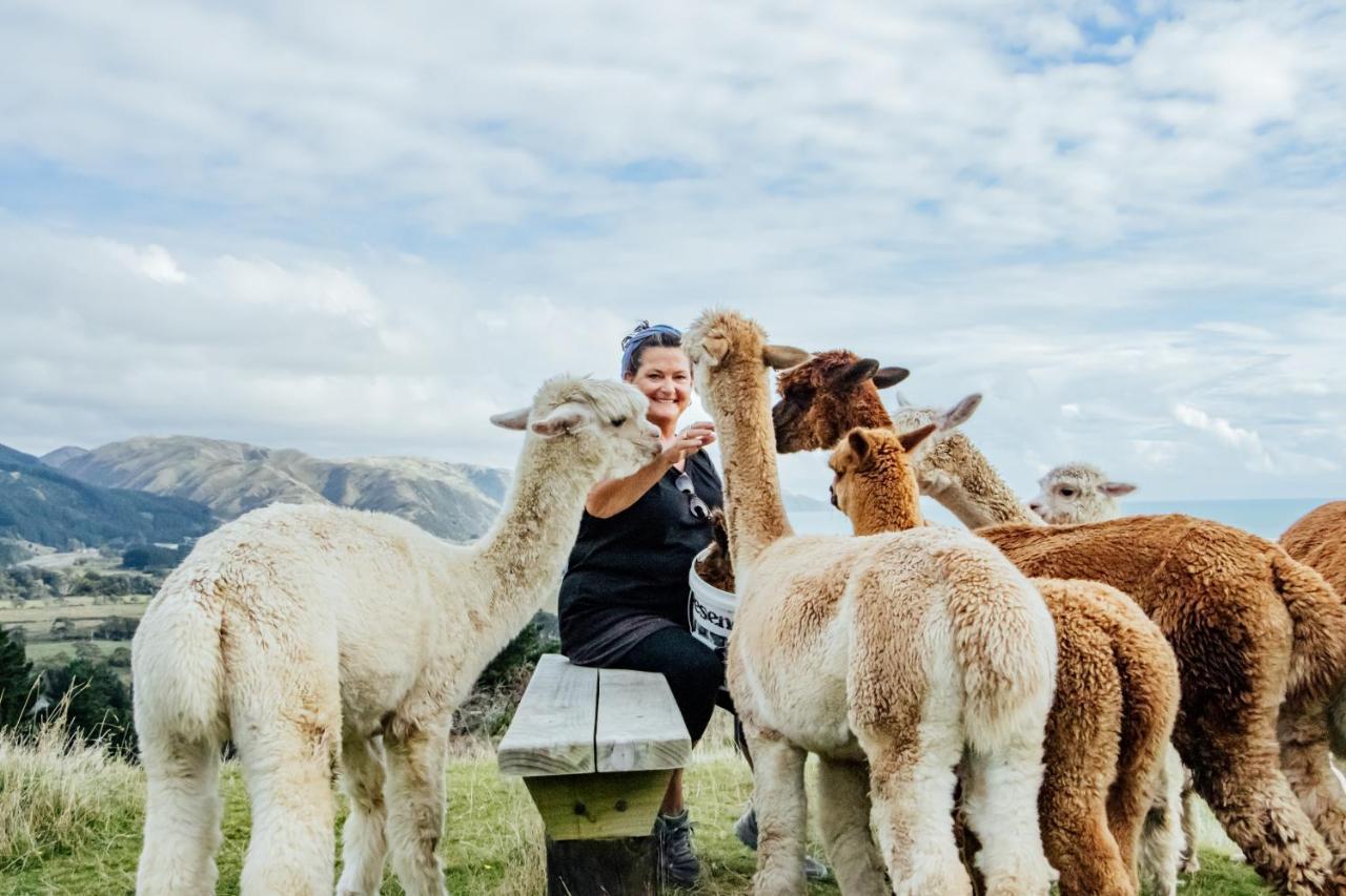 Luxury Stay, Alpaca Farm Paraparaumu Eksteriør billede